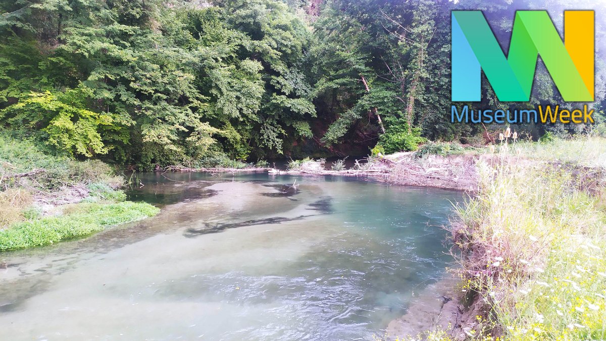 MuseoCanapa's tweet photo. La #Valnerina è il nostro #AmbienteMW, nome che deriva dal meraviglioso fiume Nera.
Un fiume che da sempre è fonte di vita.
Ne comprendiamo ancora più l'importanza oggi, che si parla di #siccità e della sofferenza di altri fiumi😰
#MuseumWeek #MuseumWeek2022 #museodellacanapa https://t.co/Hpxtgv2mRW