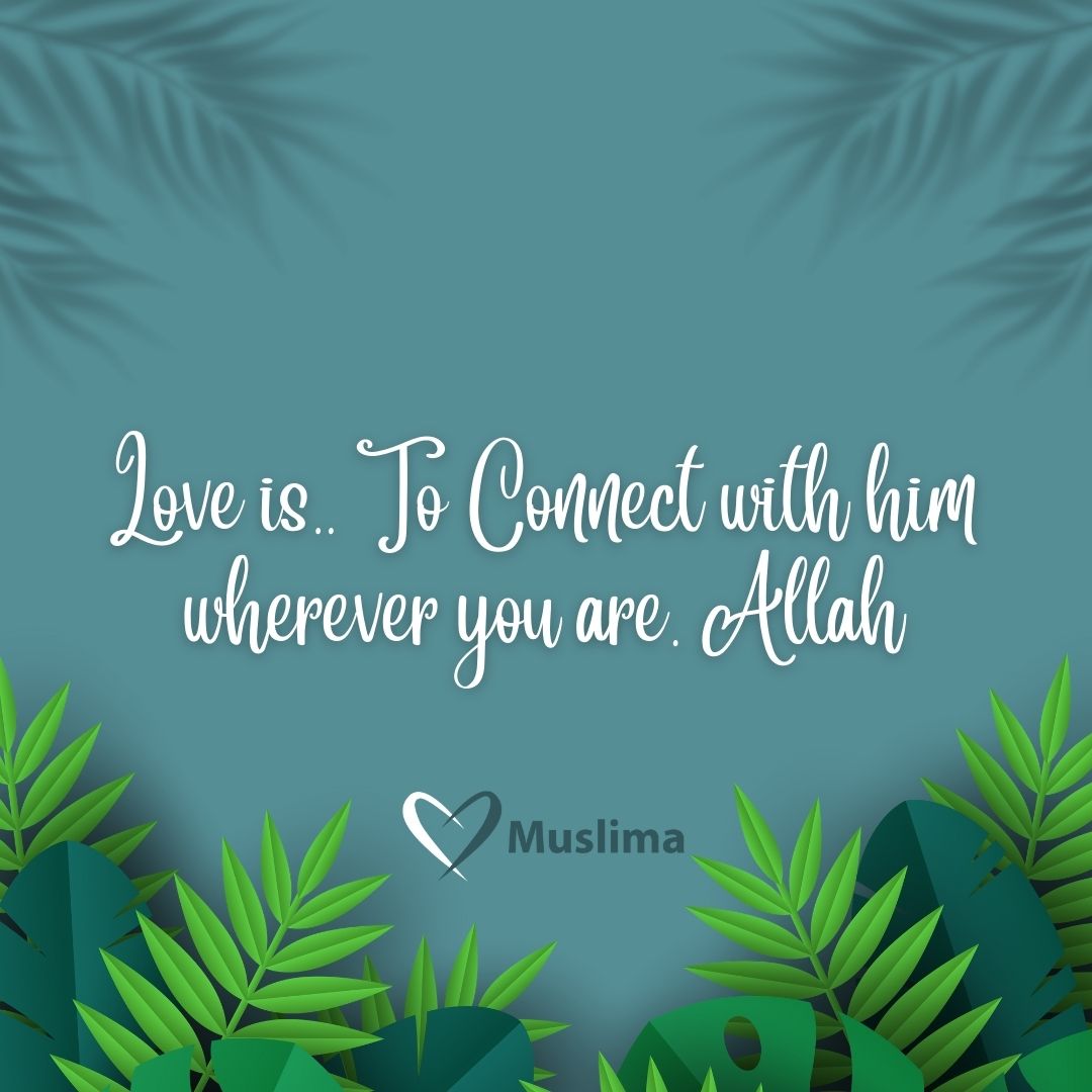MuslimaOfficiaI's tweet photo. Halal Love quotes https://t.co/WKMkP0KJXn
