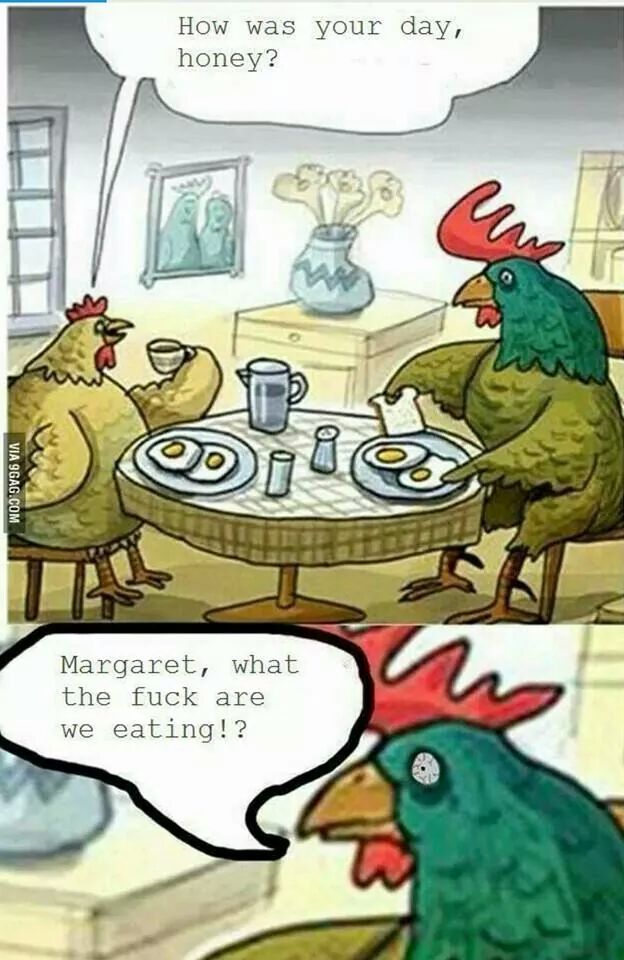 <a href="/nickdbane/">Nick Denton</a> <a href="/K__Med/">K-Med</a> Same vibes