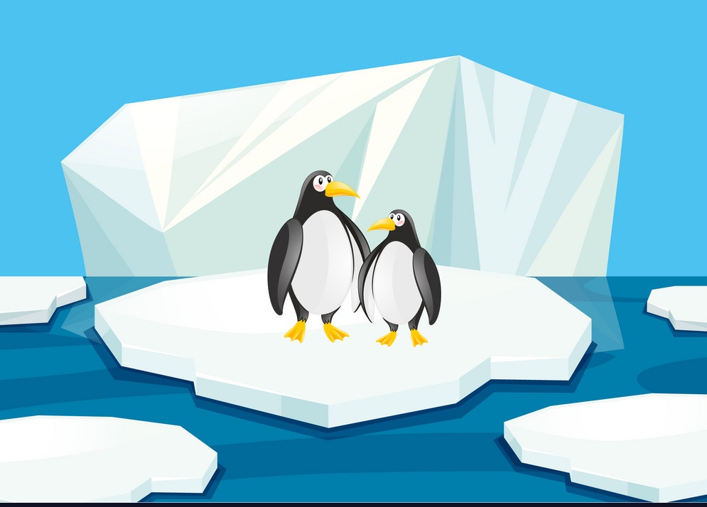 chai_licious's tweet photo. Penguins are on thin ice. Stop global warming.
#GoGreen
@SYNCHPakistan 
@ClimateChangePK https://t.co/fjJQDI3HfX