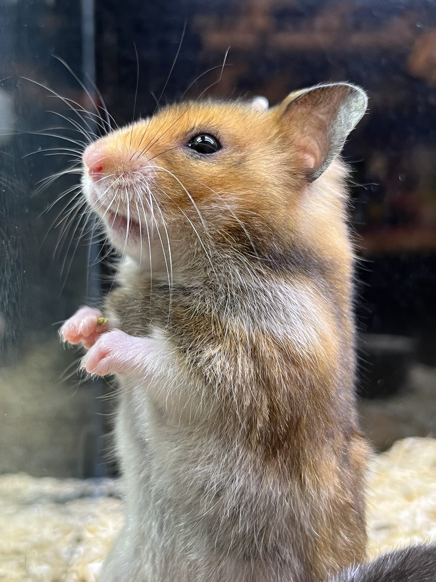 今日も一日お疲れ様でしたぁー！