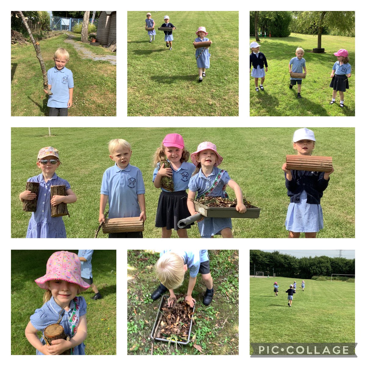 Peterstonps's tweet photo. Reception collecting items from around the school to build a new minibeast hotel. #collaborativelearning #teamwork #caringforcreatures #bertiethebeetle 🪲 https://t.co/i7e5icRpuP