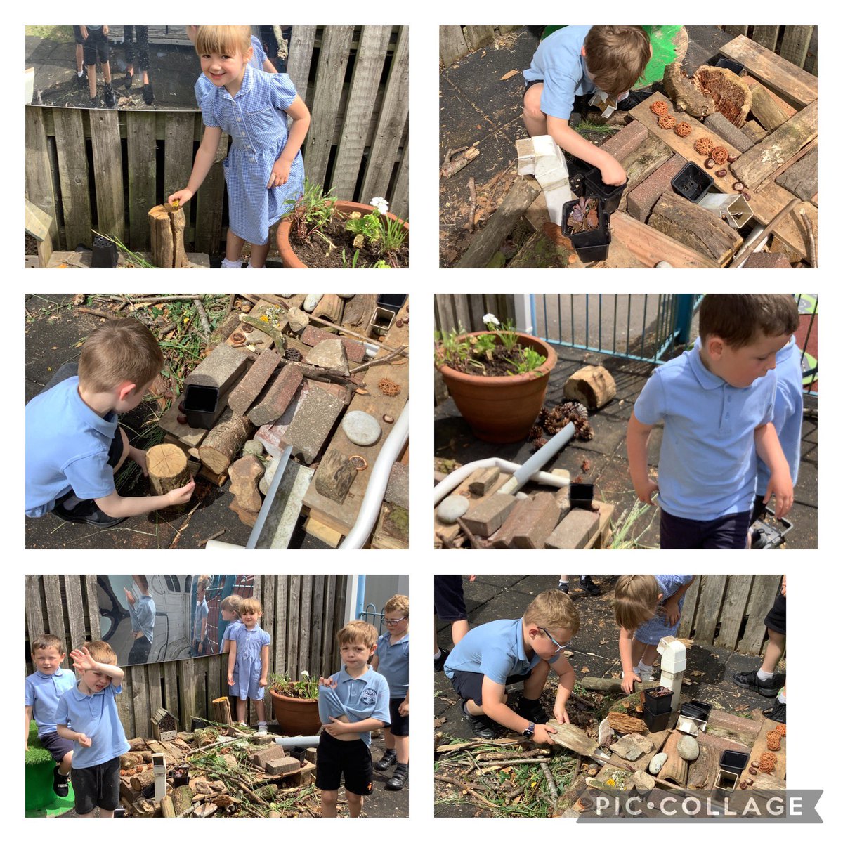 Peterstonps's tweet photo. Reception collecting items from around the school to build a new minibeast hotel. #collaborativelearning #teamwork #caringforcreatures #bertiethebeetle 🪲 https://t.co/i7e5icRpuP