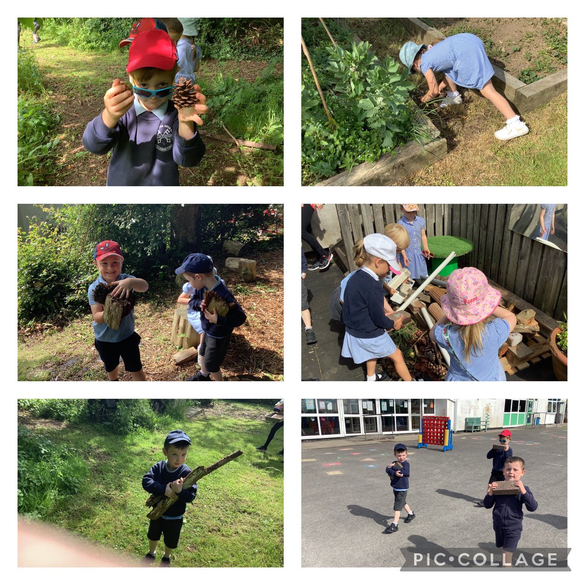 Peterstonps's tweet photo. Reception collecting items from around the school to build a new minibeast hotel. #collaborativelearning #teamwork #caringforcreatures #bertiethebeetle 🪲 https://t.co/i7e5icRpuP
