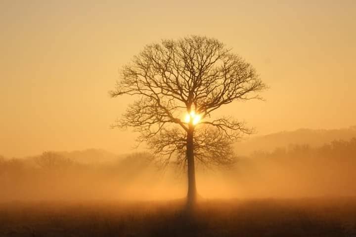 One of my favorite photos taken on an autumn morning