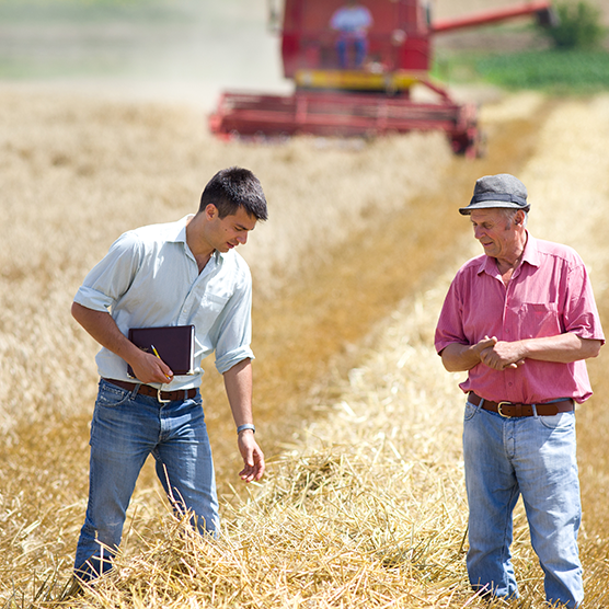 EIPAGRI_SP's tweet photo. 🤫 🤫 🤫 Sneak preview of new #EIPagri #FocusGroup topics

✅ Recovery of abandoned agricultural lands
✅ Enhancing #biodiversity on farmland through high-diversity landscape features
✅ #Socialfarming and innovation

More info coming soon… https://t.co/Qh3bR08DgK