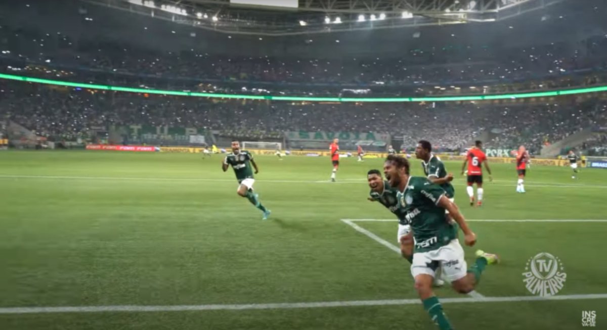 pomerense's tweet photo. Isso aqui 💚 https://t.co/Y74AROVGzj