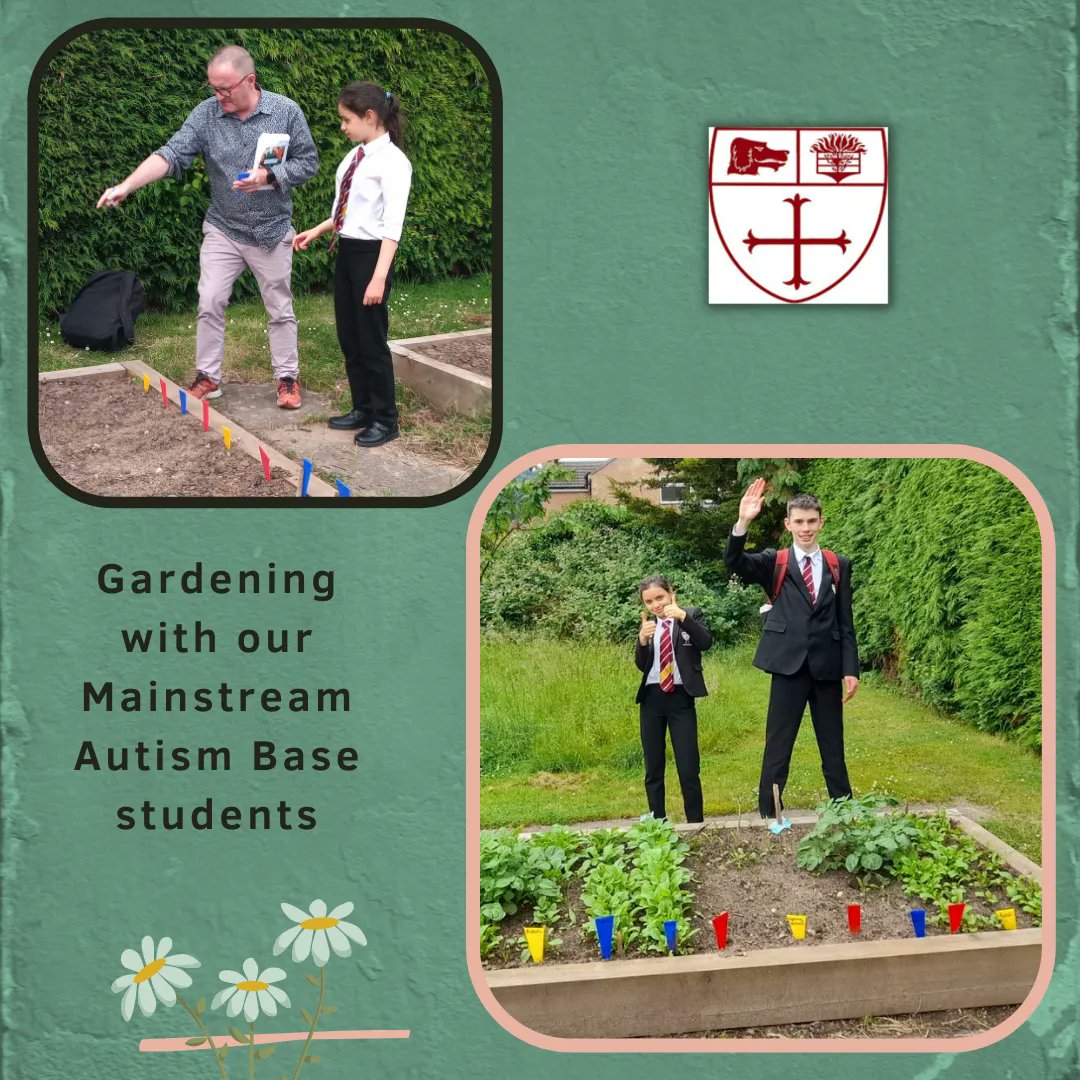 Dyson Perrins tweet media