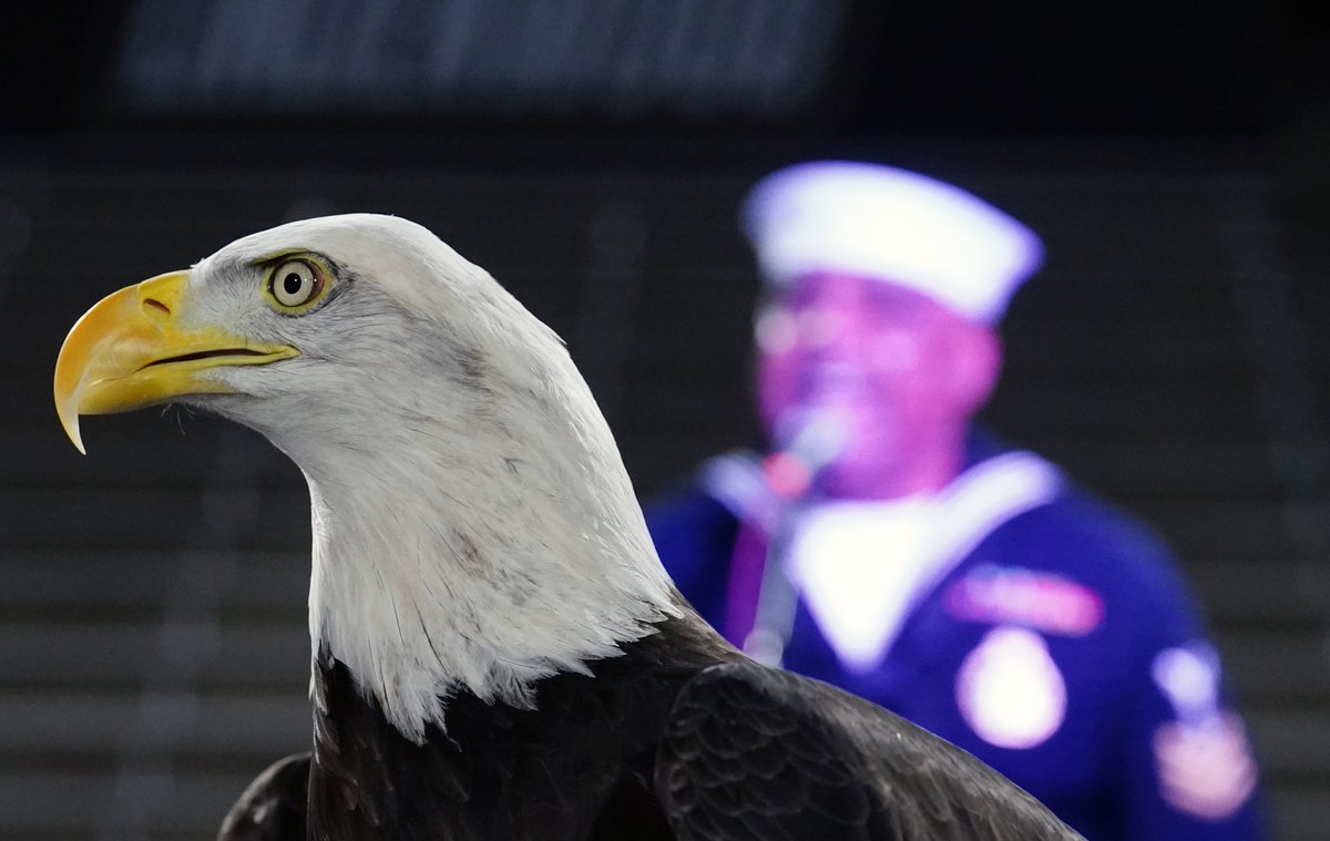 McGwire, the American Bald Eagle, listens as Navy officer Generald Wilson (Ret.) sings the National Anthem at Mo Boys State and Girls State of Missouri Annual Conference at Lindenwood University.