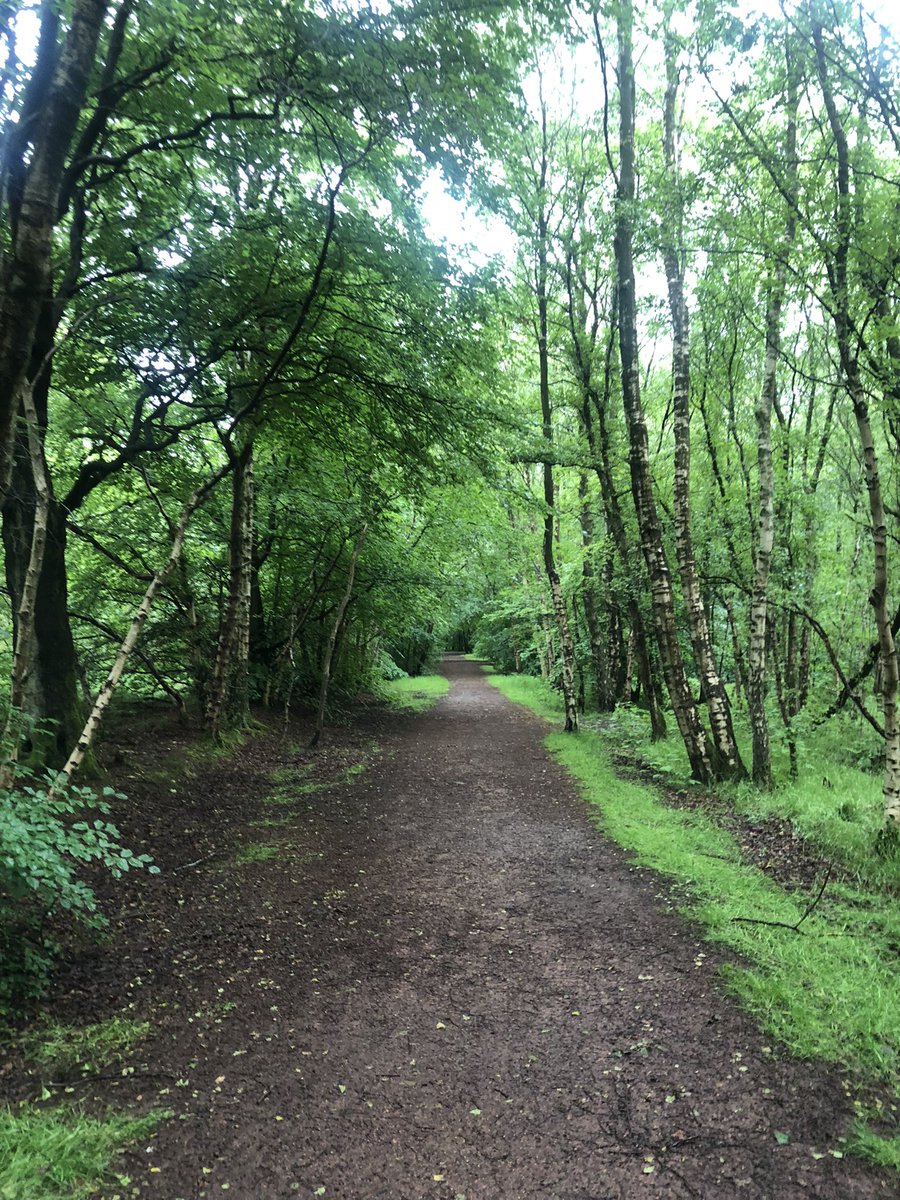 KinlochSusan's tweet photo. A dreich afternoon walk @WoodlandTrust #notsunny https://t.co/srhQEKYYFO
