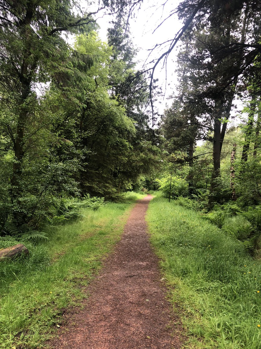 KinlochSusan's tweet photo. A dreich afternoon walk @WoodlandTrust #notsunny https://t.co/srhQEKYYFO