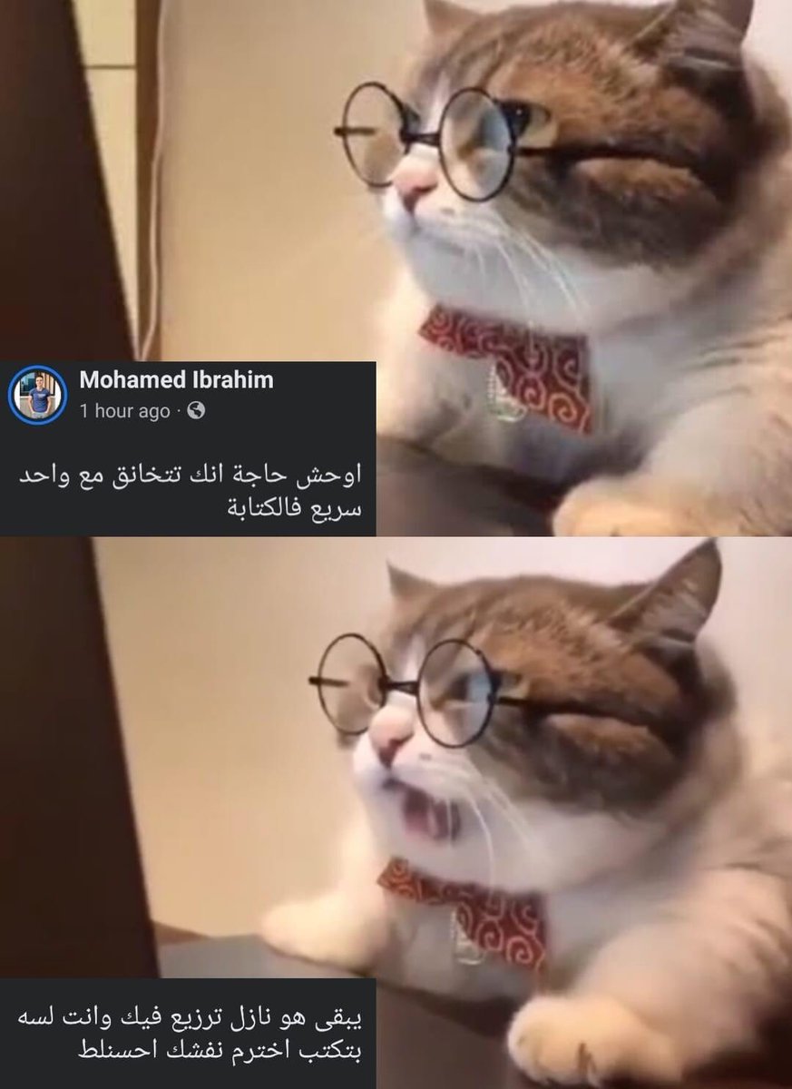 i meme it (@egymeme11) on Twitter photo 