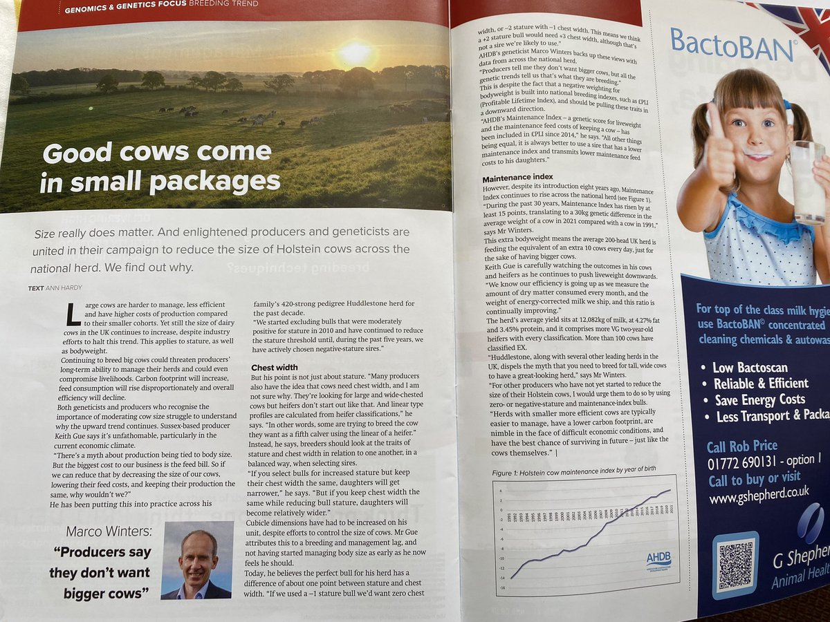 Keith Gue tweet media