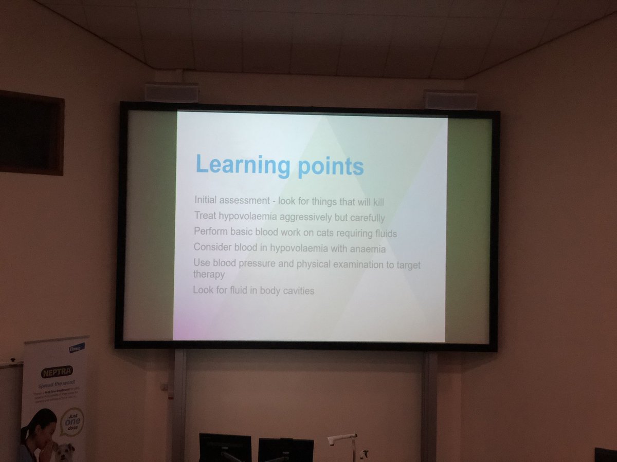 rumpyriser's tweet photo. Approach to the emergency cat summary #VetsCymru2022 https://t.co/PLS20eDrWj