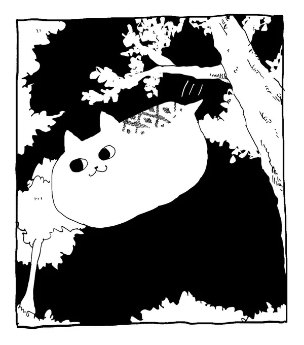ツチノコの力を得た猫/無限の力を得た猫/河童の力を得た猫/ウツボカズラの力を得た猫 