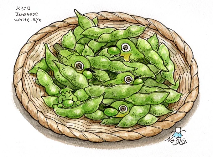 保護色エダマメジロ。 