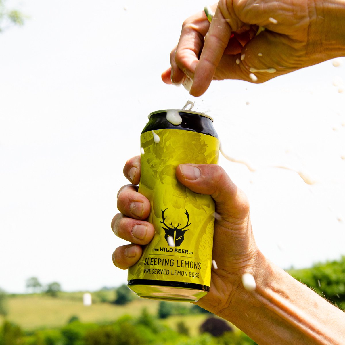 WildBeerCo's tweet photo. #SourSummer https://t.co/KkAI7rov1t