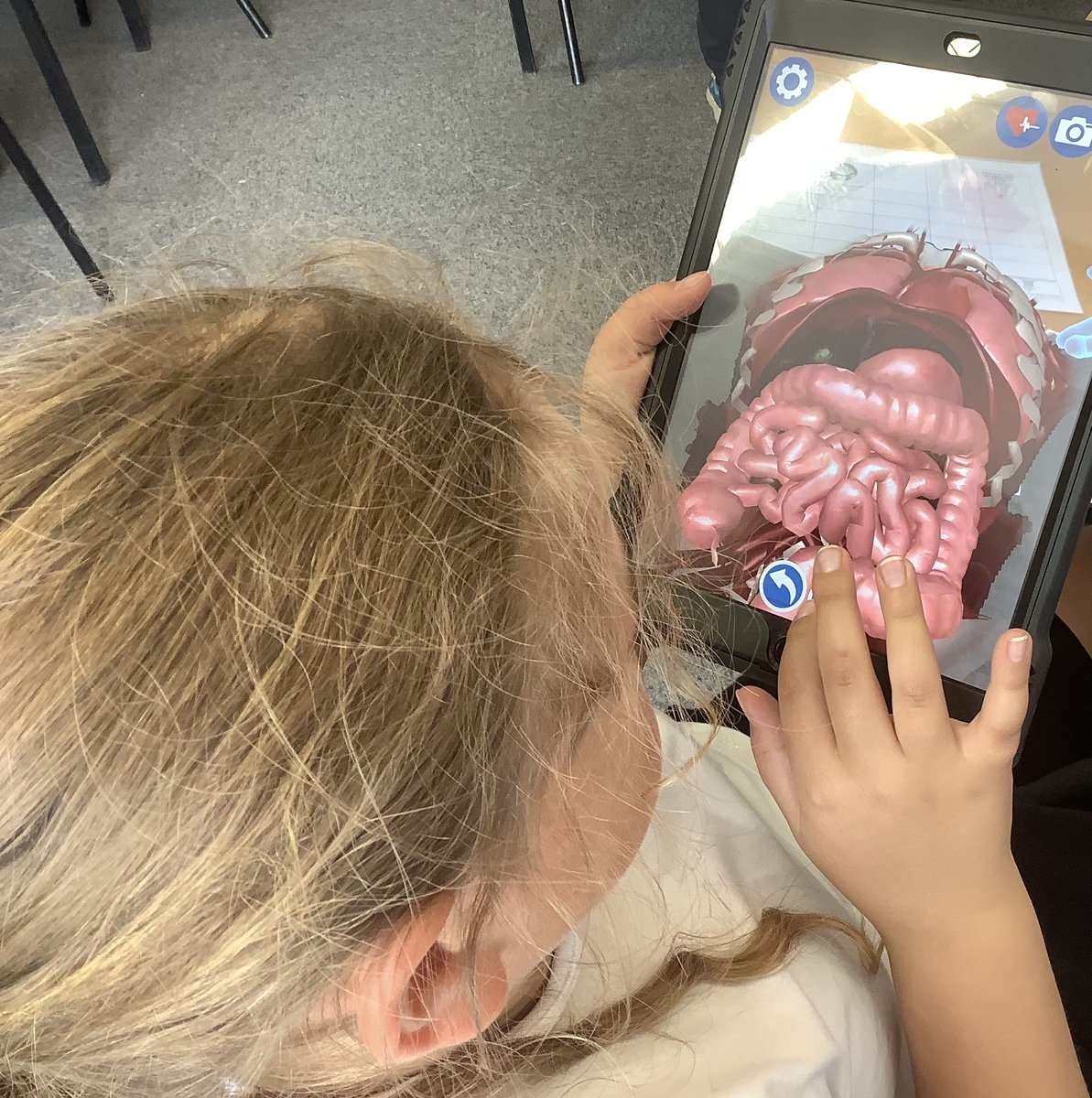 Welbourneschool's tweet photo. Year 4's Science topic this term is the digestive system. They enjoyed using an augmented reality app on their Transform iPads this week to explore the human body. #TDETTransform https://t.co/Cas8bJcPoA
