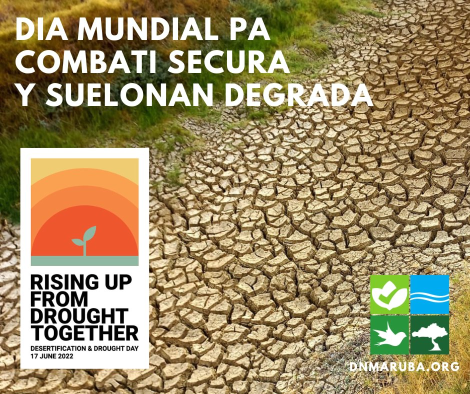 dnmaruba's tweet photo. Drought is among the most severe natural disasters. By 2050, it may affect an estimated 3/4 of the world's population. 17 June, join us for Desertification and Drought Day to explore ideas on drought-proofing our future. https://t.co/Il5iu5JdyJ