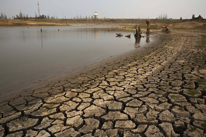 SynchCmc's tweet photo. Climate change is real. It's happening right now, it is the most urgent threat facing our entire species and we need to work collectively together and stop procrastinating.
#GoGreen
@SYNCHPakistan 
@ClimateChangePK https://t.co/xIKaUyLkq6