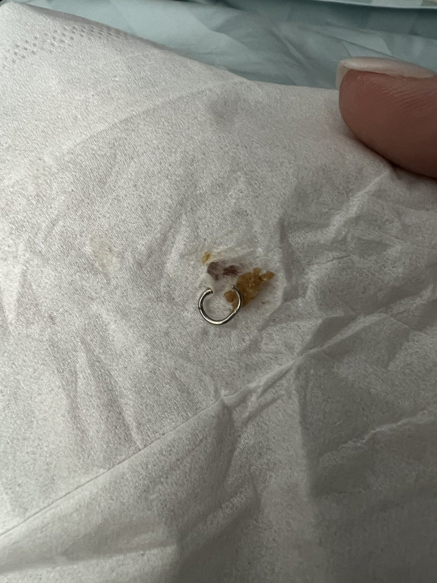 Mary Lynne ✨ tweet media