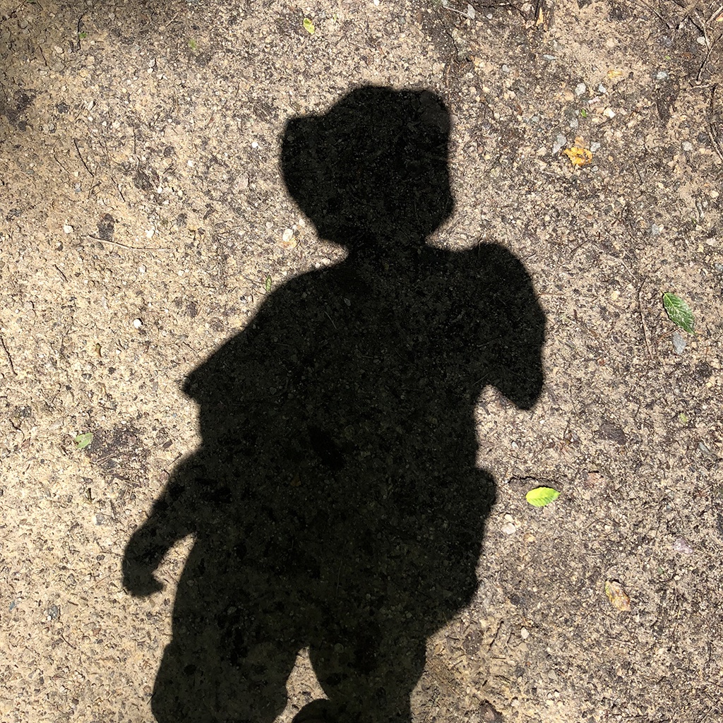 QuixStefaan's tweet photo. "The Sonian Forest" [Stefaan Quix] [2021]

#stefaanquix #forestfridays #natureflows #andalsothetrees #wildinthewoods #trees #ents #sonianforest #zoniënwoud #foretdesoignes #zonienwald #bruxelles #brussels #brussel #forests #woods #hiking #naturelovers #wanderlust https://t.co/99bcz13ady
