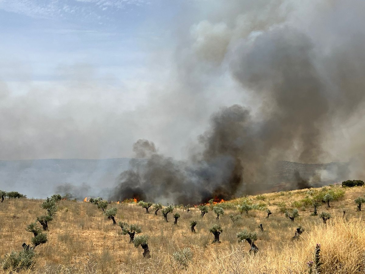 ToledoAyto's tweet photo. 🚨Una dotación de Bomberos del Ayuntamiento, con tres vehículos (dos camiones y un vehículo de mando), y Policía Local, colaboran en la extinción del incendio declarado en el entorno de la finca Zurraquín.  

@BomberosToledo 
@Plan_INFOCAM https://t.co/stDfow8WNA
