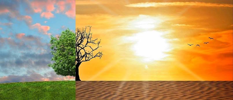 SynchCmc's tweet photo. We are living on this planet as if we had another one to go to.
Plant trees to save lives.
#GoGreen 
@SYNCHPakistan 
@ClimateChangePK https://t.co/E2m6j2qDdm