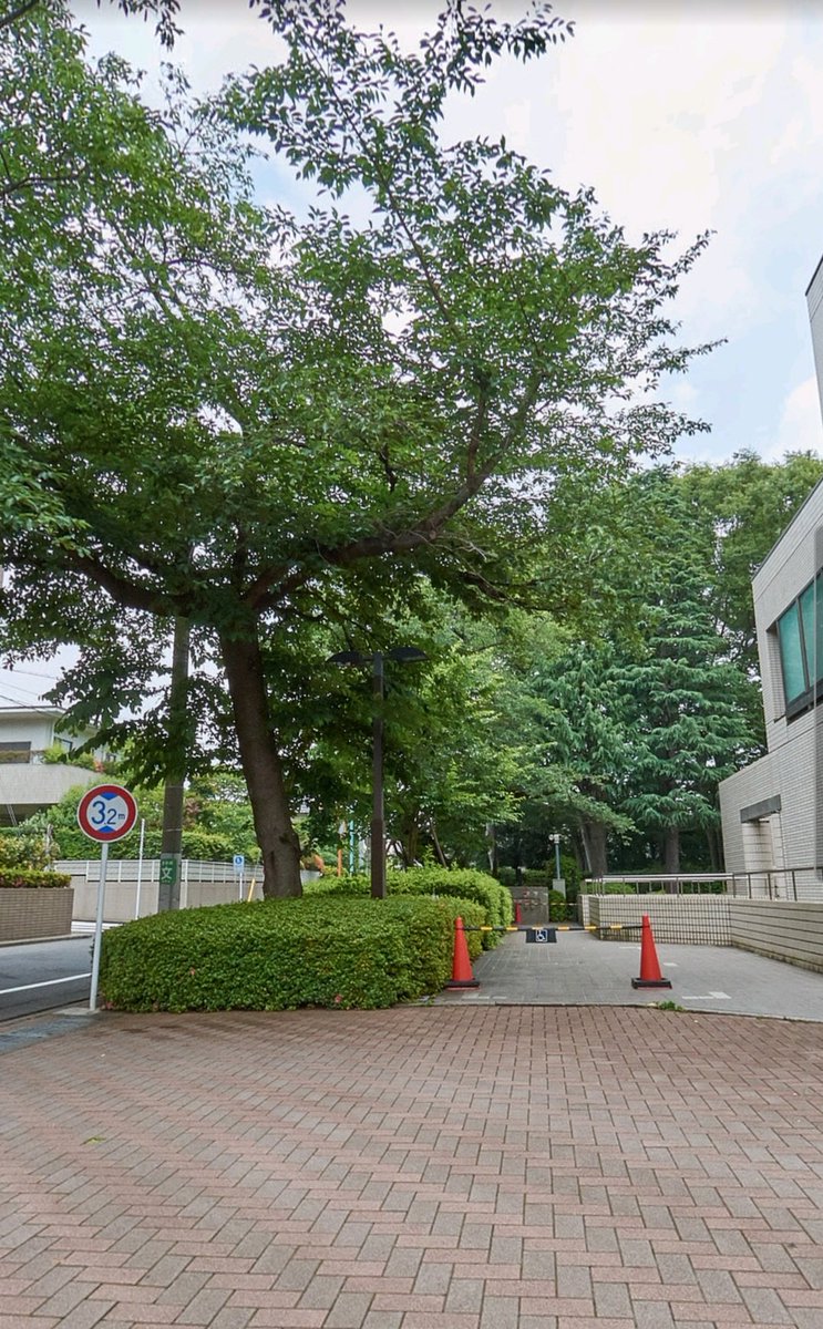 treeguardian__'s tweet photo. 東京ただいまっ！
明日からは、渋谷の現場だぁー！

施設全部管理する事に✨
熱中症対策怠らないようにしなきゃ！
 #空師
 #高木剪定
 #特殊剪定
 #特殊伐採
 #街路樹剪定士
 #ツリー https://t.co/Vbf7vSW2u0