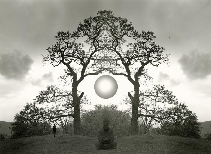 luisdeleonbarga's tweet photo. El árbol de la meditación.
Foto de Jerry N. Uelsmann
#meditación #foto #fotoreto https://t.co/dzAAYmI3Qk