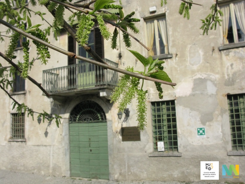 Museo_Setificio's tweet photo. L'#ambienteMW è spesso modellato dall'uomo, sin dai tempi più antichi. All'epoca del grande sviluppo delle filande, il Lombardo-Veneto era tappezzato di #gelsi che i contadini piantavano ovunque per avere foglie per allevare i preziosi bachi nelle case
#environmentMW #MuseumWeek https://t.co/2UYozPqeqk