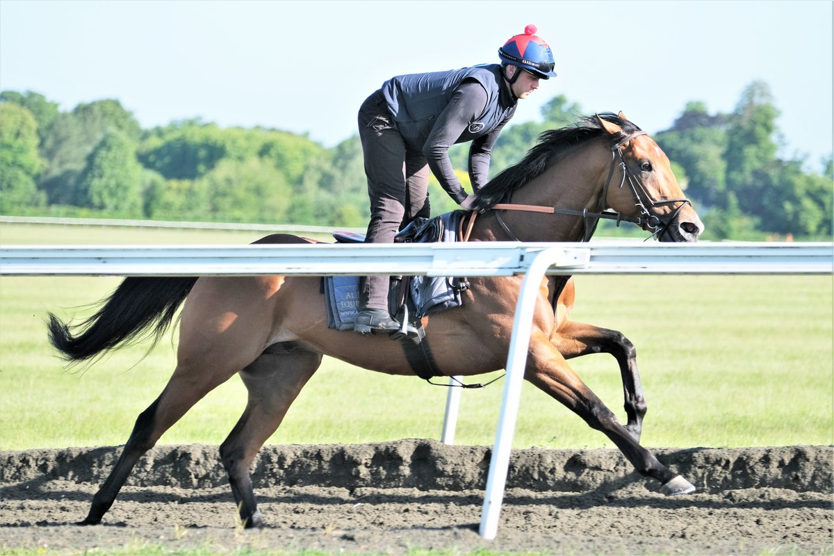 David Simcock Racing (@simcockracing) on Twitter photo MELEK ALREEH runs promisingly on debut to place 3rd (3yo c Lemon Drop Kid USA - Bargain Blitz USA) in the 1m2f Novice Stakes <a href="/Redcarracing/">Redcar Racecourse</a> under <a href="/DougieCostello/">Dougie Costello</a> for RAED EL YOUSSEF & <a href="/globalequine/">Global Equine Group</a> & <a href="/SimcockRacing/">David Simcock Racing</a> #AlBastiEquiworldDubai MELEK ALREEH runs promisingly on debut to place 3rd (3yo c Lemon Drop Kid USA - Bargain Blitz USA) in the 1m2f Novice Stakes <a href="/Redcarracing/">Redcar Racecourse</a> under <a href="/DougieCostello/">Dougie Costello</a> for RAED EL YOUSSEF & <a href="/globalequine/">Global Equine Group</a> & <a href="/SimcockRacing/">David Simcock Racing</a> #AlBastiEquiworldDubai