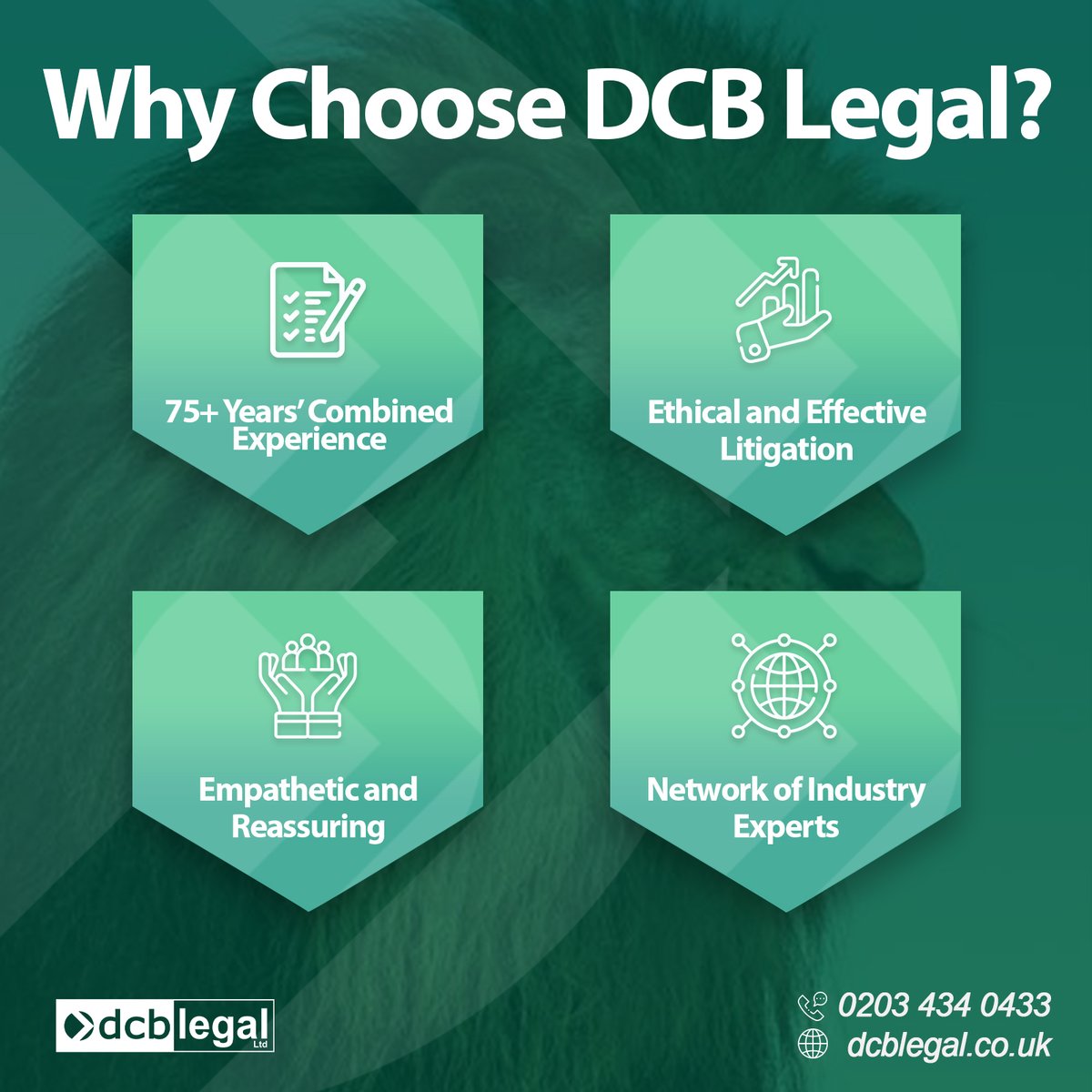 DCB Legal tweet media