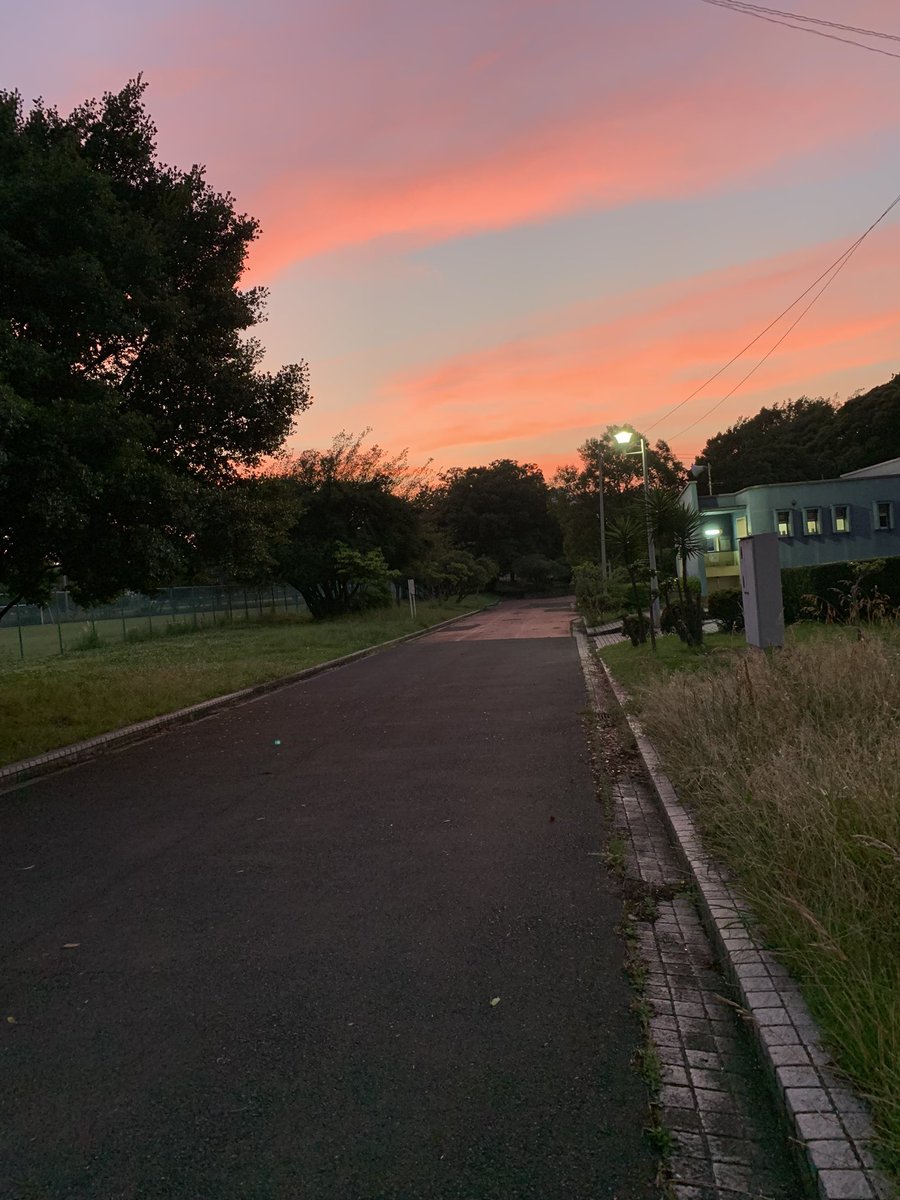 noratatinotudoi's tweet photo. 今日、大黒埠頭中央公園の空は綺麗なアカネ色でした。
こんな空を年に何度かは、かつて猫たちも見ていました。
毎日、パトロールを続けています。
警察の捜査は続いています。
警察の捜査を応援してください。人間の殺人事件の様にはなかなかです。 https://t.co/hOGLDH2Vhh