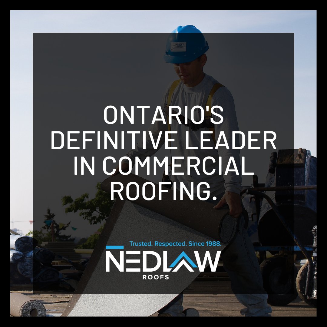 Nedlaw Group tweet media