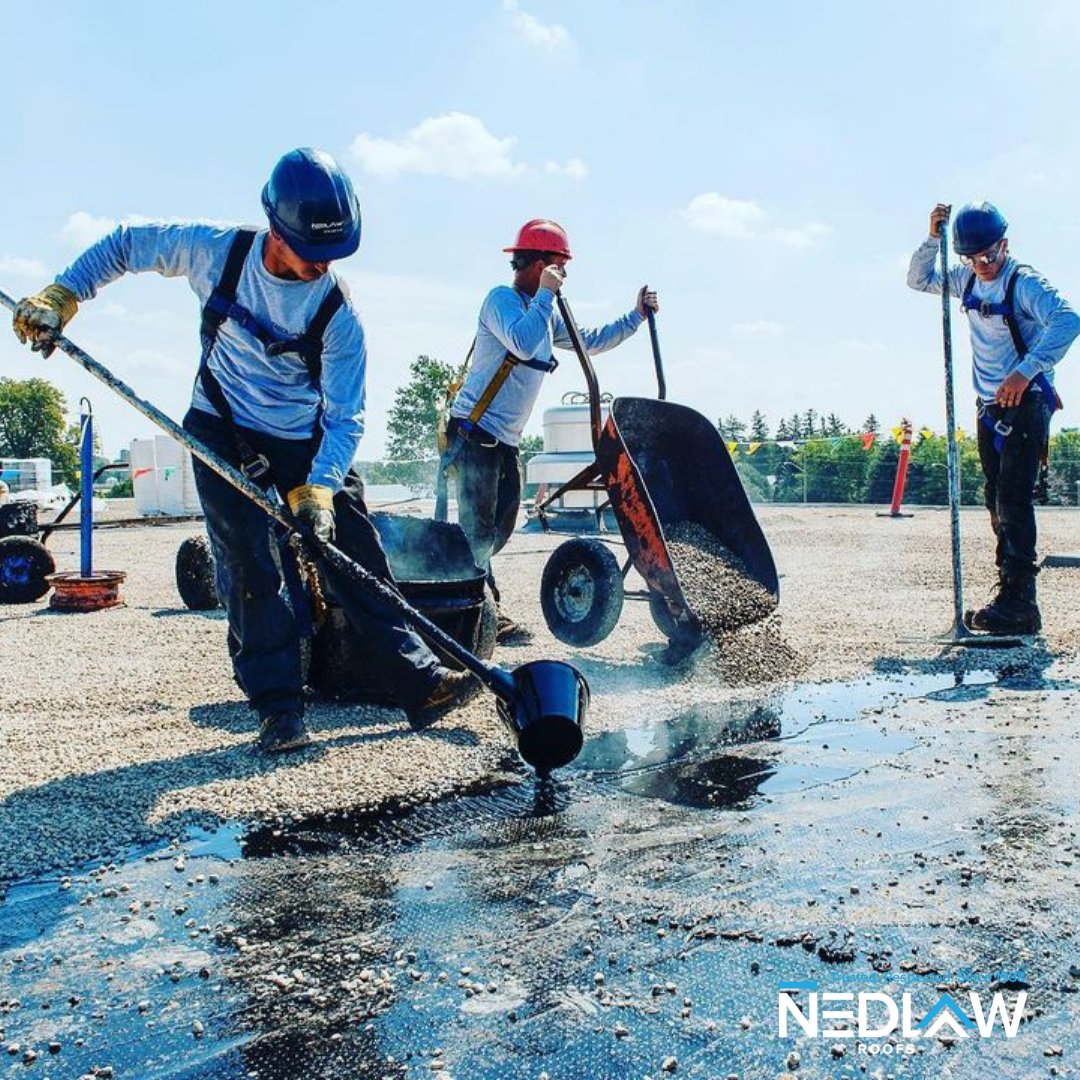 Nedlaw has built an impressive portfolio of work. Together, these projects cover a wide range of specifications, a large geographic area, and many out-of-the-ordinary projects.
⠀
Trusted. ⠀ ⠀
Respected. ⠀ ⠀
Since 1988 ⠀ ⠀