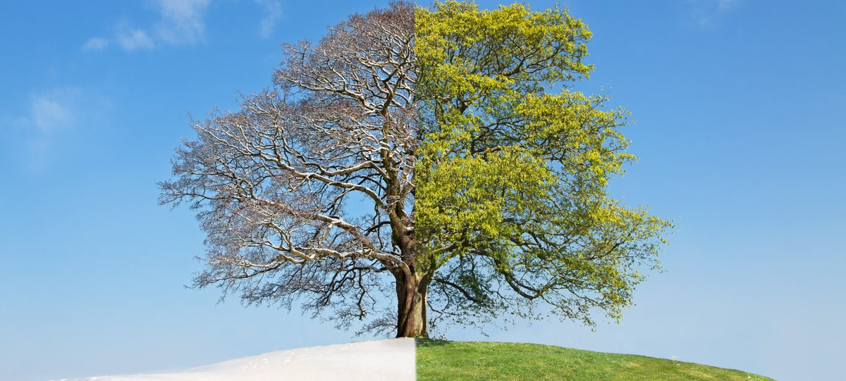 JABLOTRON LT tweet media