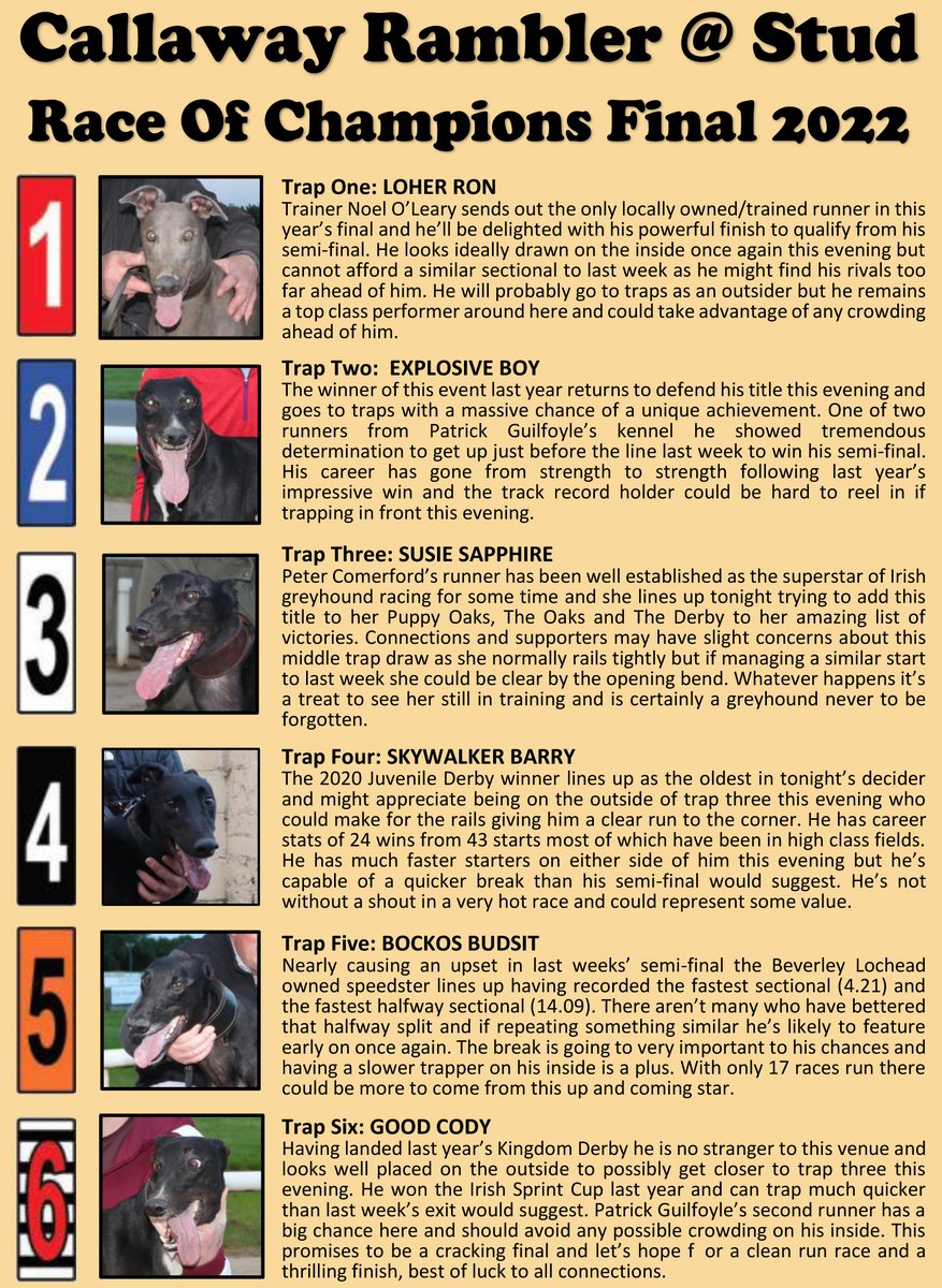 Final of the CallawayRambler@Stud Race of Champions tonight 🤩 Still haven't picked your winner..? Try our tipster Mike Flaherty's @cablestation947 handy guide to to help with your selection in this top class race👇 @BarkingBuzz @RPGreyhounds