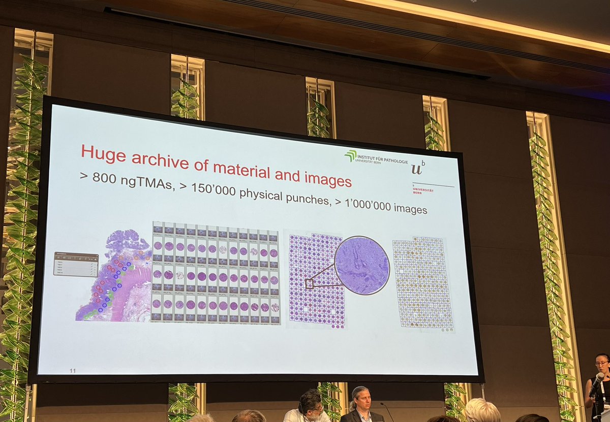 atman_ci's tweet image. Other excellences this morning at #ECDP2022: #digital tissue #microarrays in #Pathology (Prof I.Zlobec); reproducible quality control in #DigitalPathology (Prof A.Janowczyk); holistic #AI approach (Dr A.Mukhopadhyay); #PathEducation anywhere, anytime on any device (Prof R.Singh)