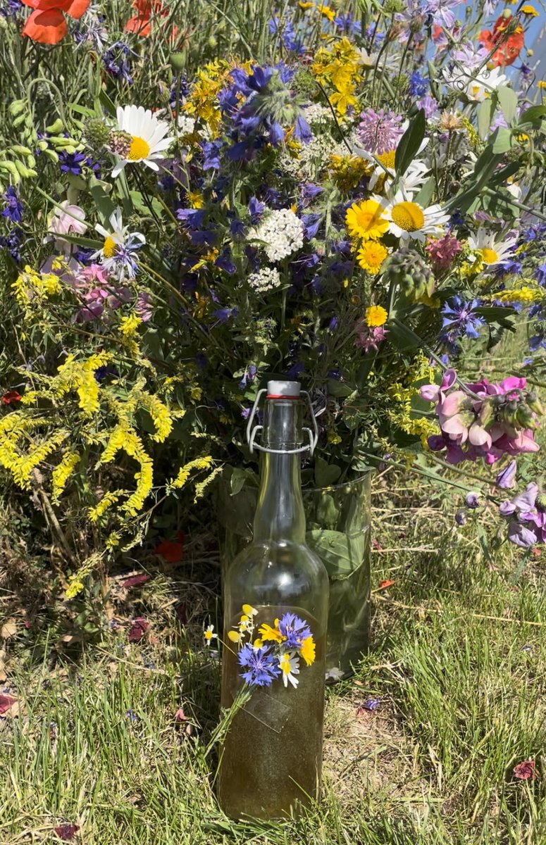 offenlandinfo tweet media