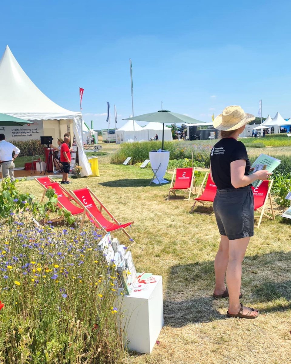 offenlandinfo tweet media