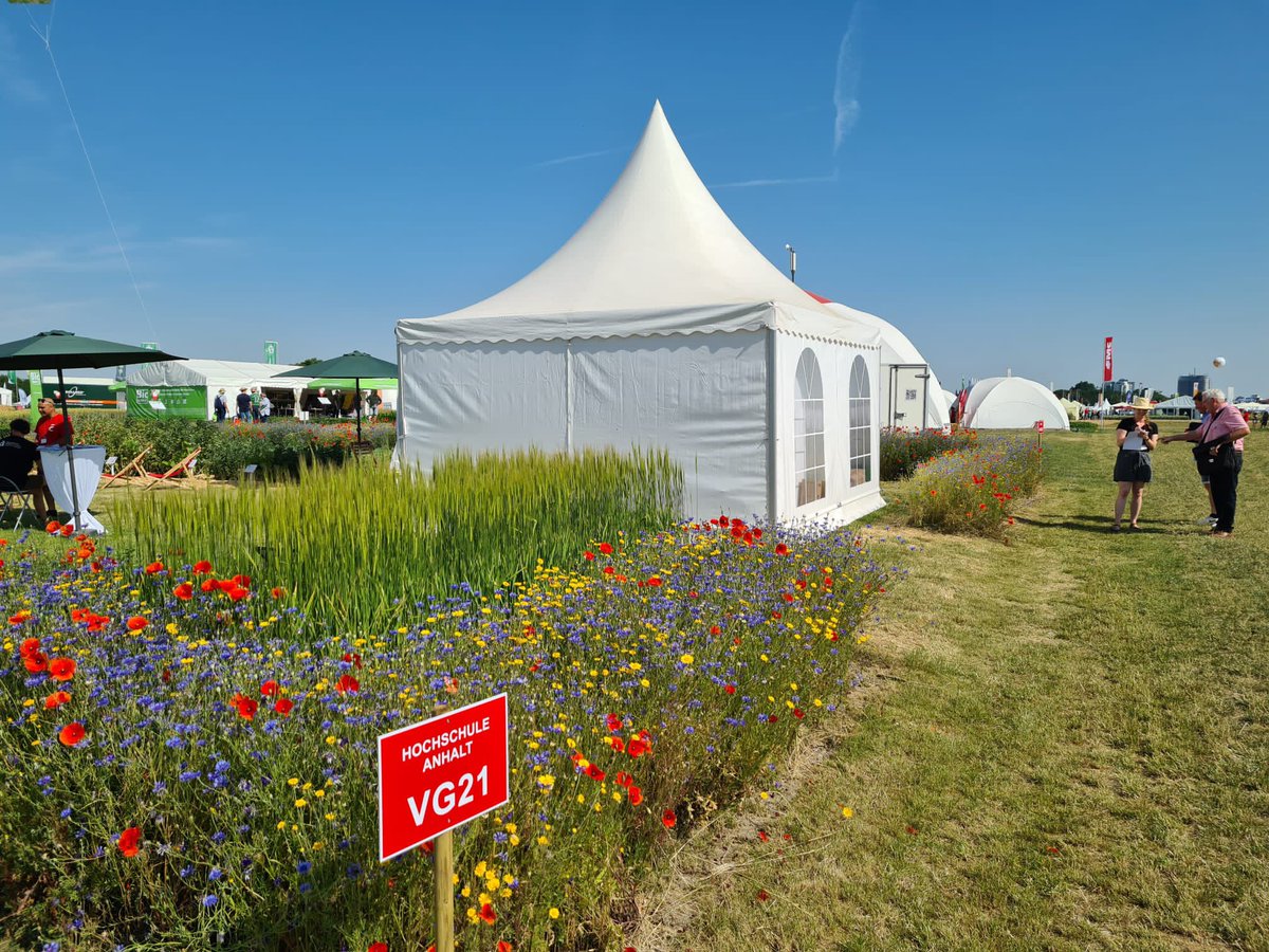 Danke an alle BesucherInnen, die KollegInnen der <a href="/DLG/">Dru Garza</a> &amp; das tolle Team der @hsanhalt vor Ort für die gelungenen <a href="/feldtage/">DLG-Feldtage</a>. Wir hatten viele interessante Gespräche&amp; freuen uns auf die nächsten Feldtage mit Biodiversitätsschnaps! 
#DLGFeldtage22 #biodiversität #landwirtschaft