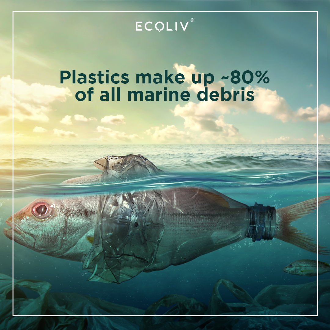 Ecoliv_India's tweet photo. Over the last couple of decades plastics have been found in oceans, forests, and bellies of living things. In 2022, scientists also found microplastics in human lungs for the first time. It is time to #reduceplasticwaste! 

#Ecoliv #EcolivIndia #plastic #plasticpollution https://t.co/4ROHGPdx2L