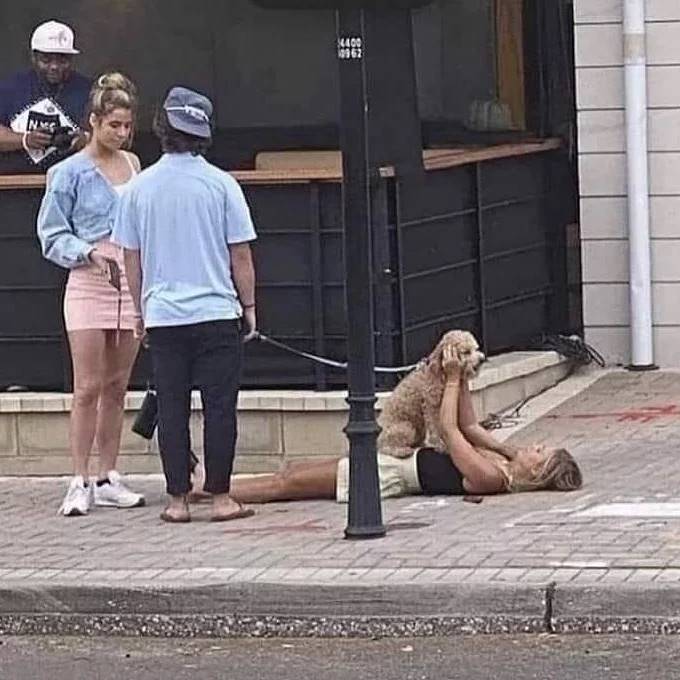 ARTIFAXING (@pedestrian) on Twitter photo 