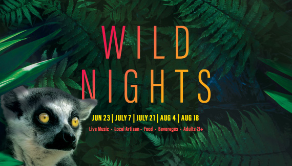 mnzoo's tweet photo. #WildNights will feature 3 stages with multiple set times across the #MNZoo campus. Each night features a variety of local artists, artisans, food, and more. Animal trails will be open late until 8pm, entertainment until 10pm. Info: https://t.co/jcQ9yyjzlD #ConservationRocks https://t.co/TgNplJLmfB