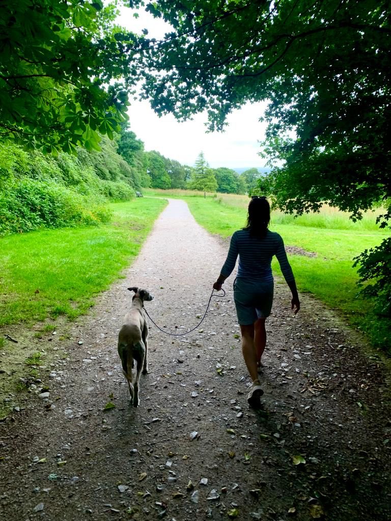 ⁦<a href="/hsesteps/">Steps to Health</a>⁩ Fiona from Fast Trackers getting her steps in Ardgillan park.