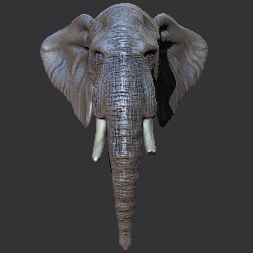 davidedg271's tweet photo. Last word with Zbrush !! 
Mood🐘 #nft #NFTCommunity #NFTGiveaway https://t.co/ovTXZg582H