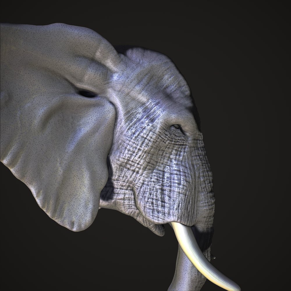 davidedg271's tweet photo. Last word with Zbrush !! 
Mood🐘 #nft #NFTCommunity #NFTGiveaway https://t.co/ovTXZg582H