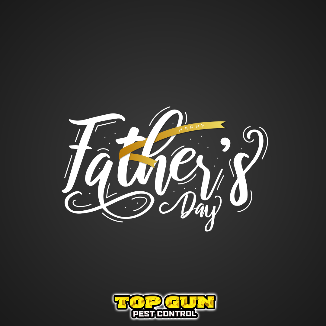 Dads are the Real MVP's! 💪💯👏 Have a great Father's Day!