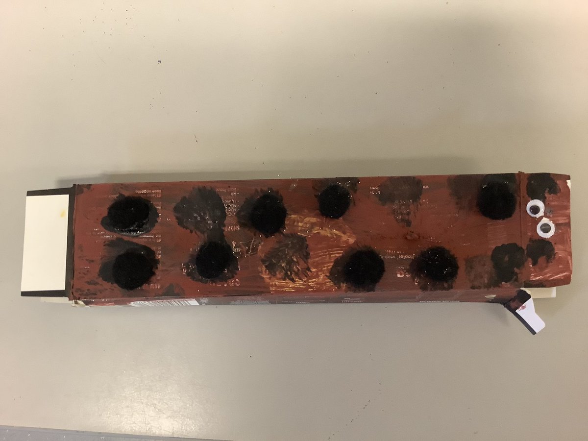 Spring Bank Primary School tweet media